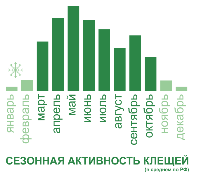Акарицидная обработка от клещей территории и участков в Новокузнецке. Цены